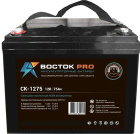 СК 1275 ВОСТОК Аккумуляторная батарея