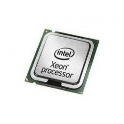 Процессор IBM 44E4241 Quad Core Intel Xeon E7320 (2.13GHz 4MB L2Cache 80w)-44E4241(NEW)
