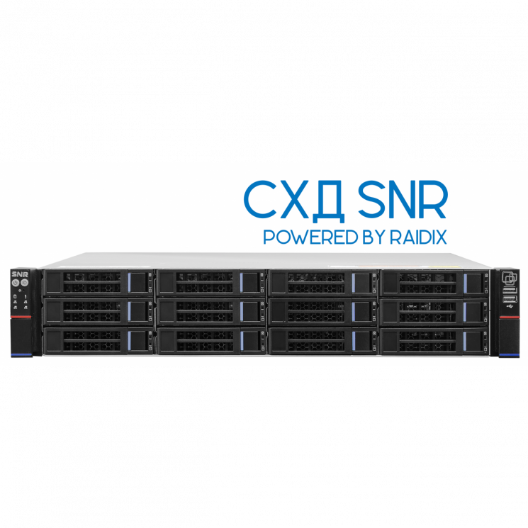 Система хранения данных SNR DS216R